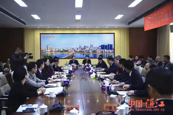 姜建军市长参加吴川代表团分组会议, 履职尽责
