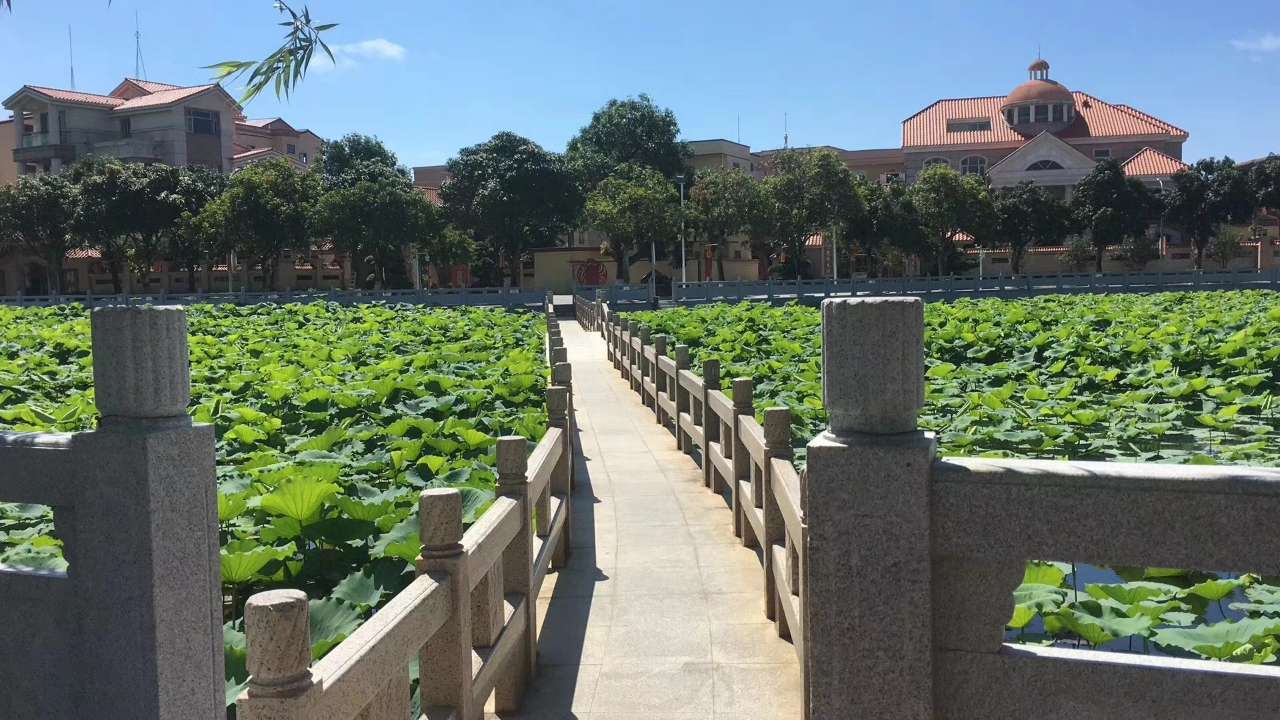 吴川乡村振兴战略系列吴川市吴阳镇蛤岭村--转:蛤岭村